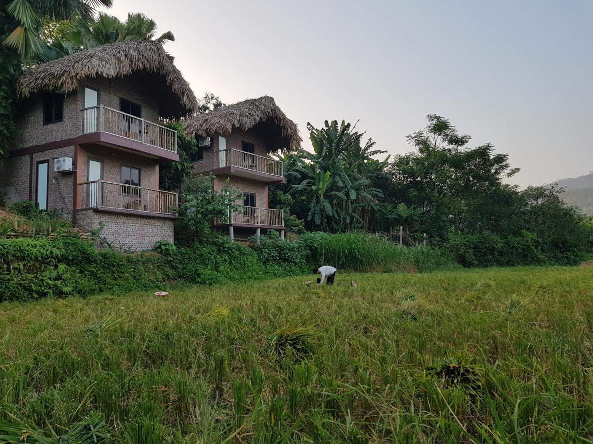 Vu Linh Palm House Homestay - Bungalow Yen Bai Exteriör bild