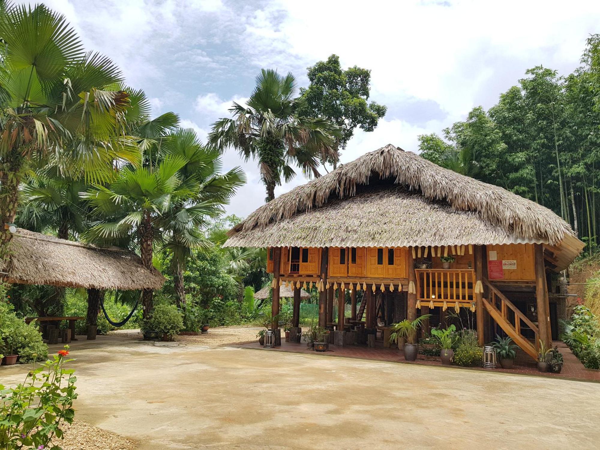Vu Linh Palm House Homestay - Bungalow Yen Bai Exteriör bild