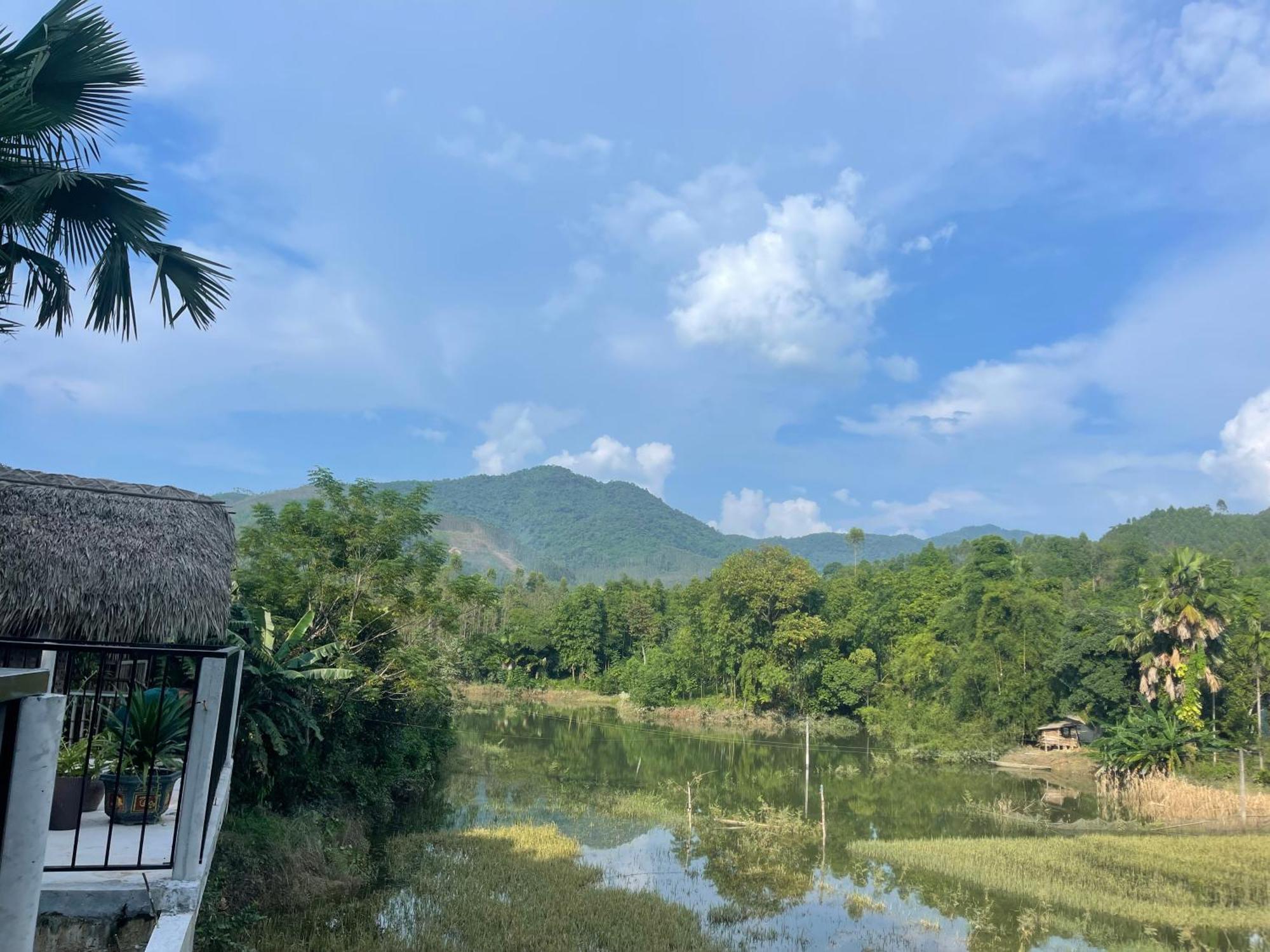 Vu Linh Palm House Homestay - Bungalow Yen Bai Exteriör bild