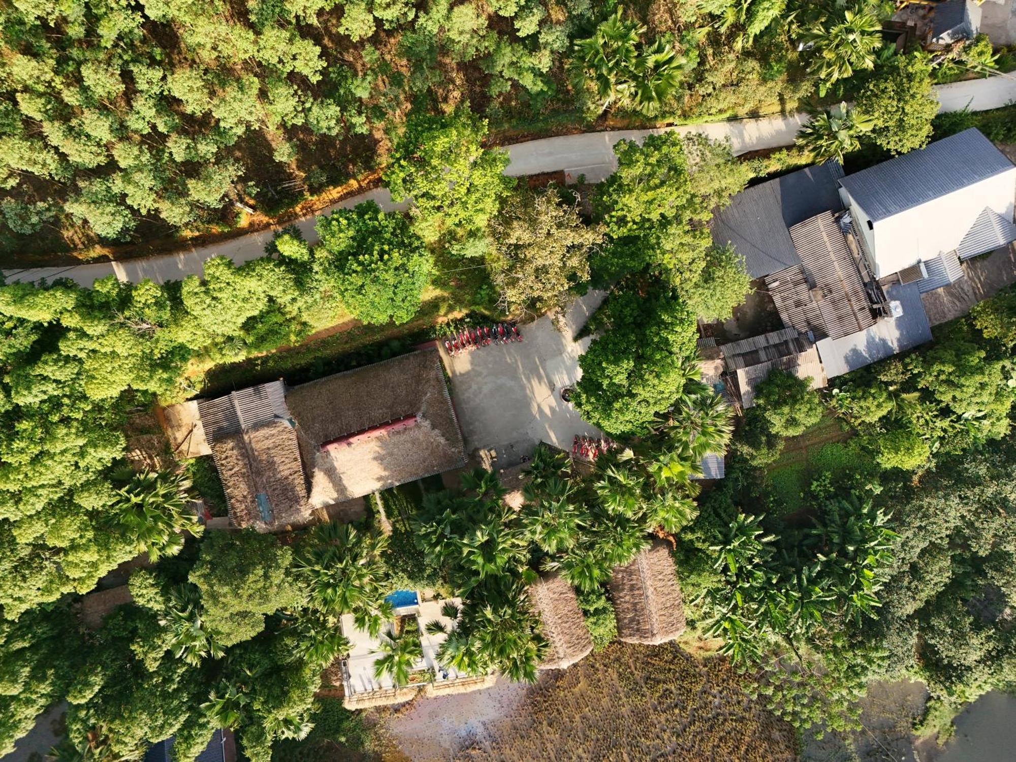 Vu Linh Palm House Homestay - Bungalow Yen Bai Exteriör bild